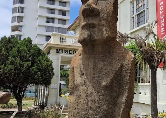 Departamento Vina Del Mar